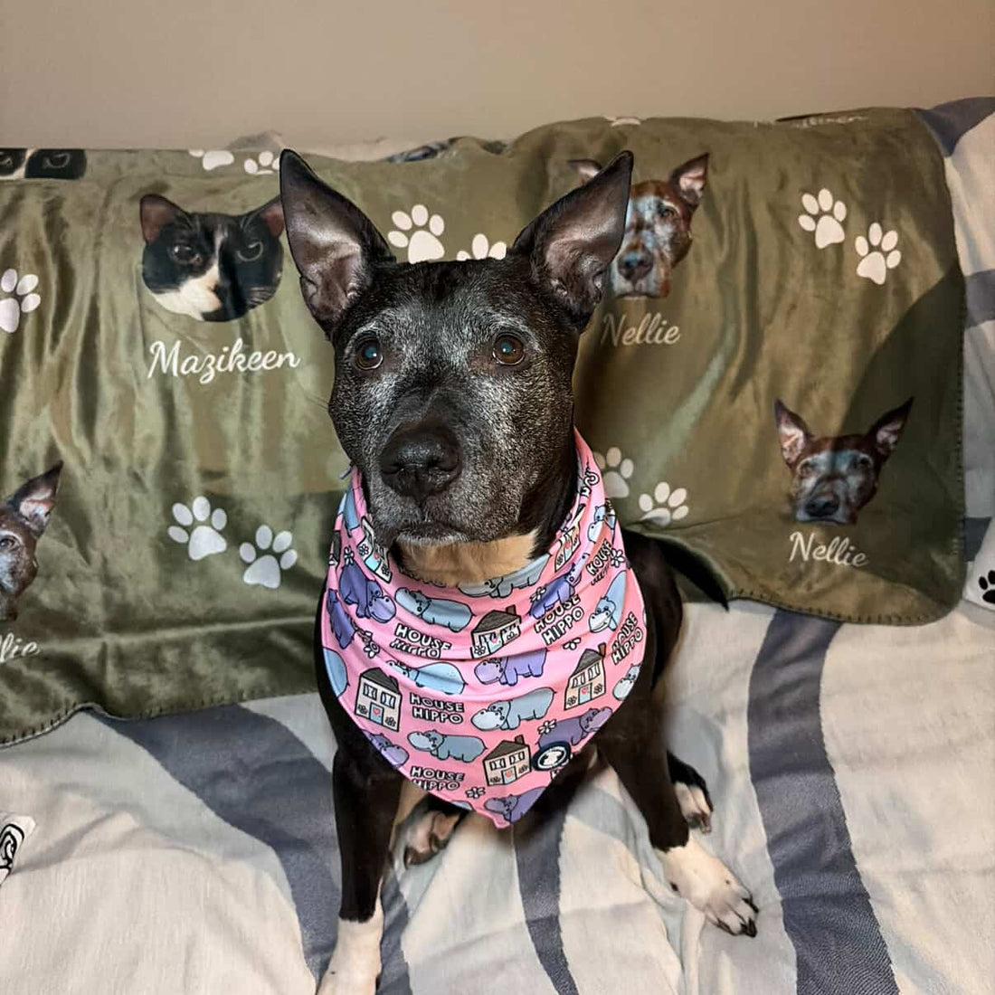 The Best Gifts for Pitbull Moms Who Are Completely Obsessed With Their Dogs