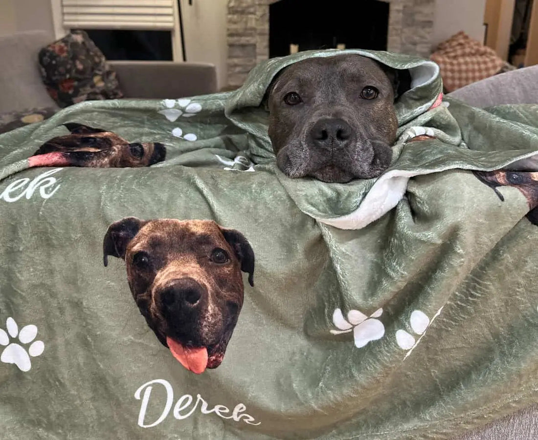 Derek the rescue dog is burrowed underneath his custom dog blanket!