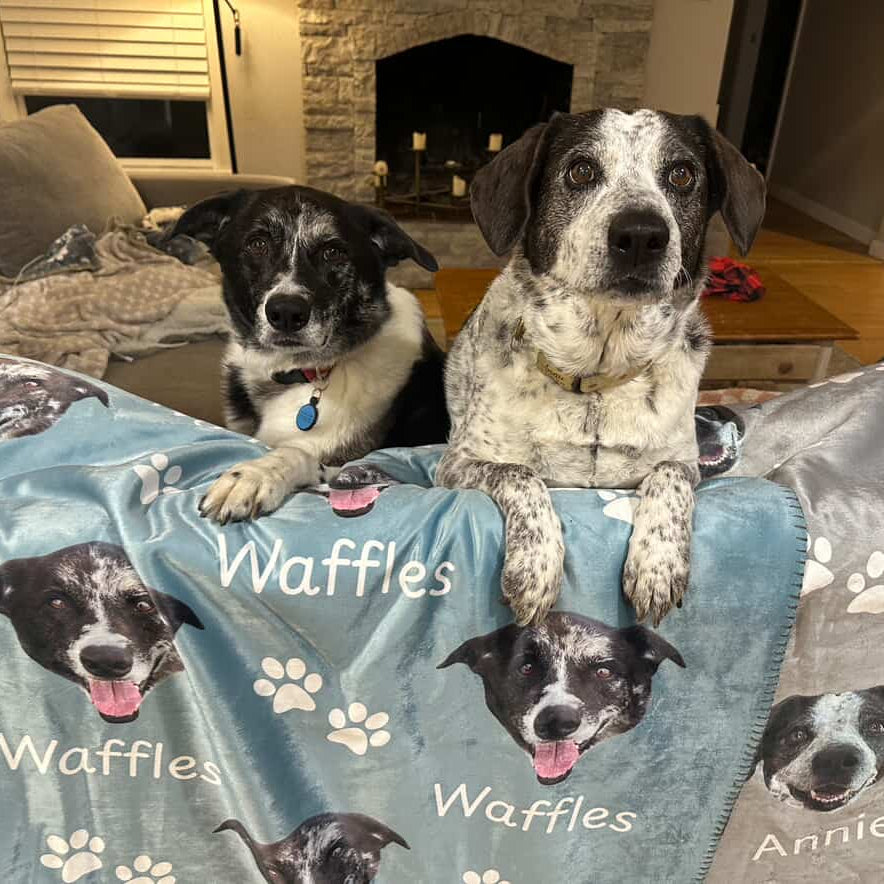 The Benefits of Sherpa Dog Blankets: Why Your Pup Deserves the Coziest Blanket Around