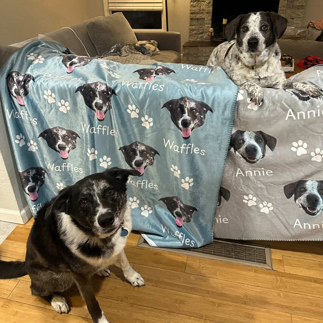 Custom Dog Blanket vs. Regular Dog Blanket: What's the Difference?