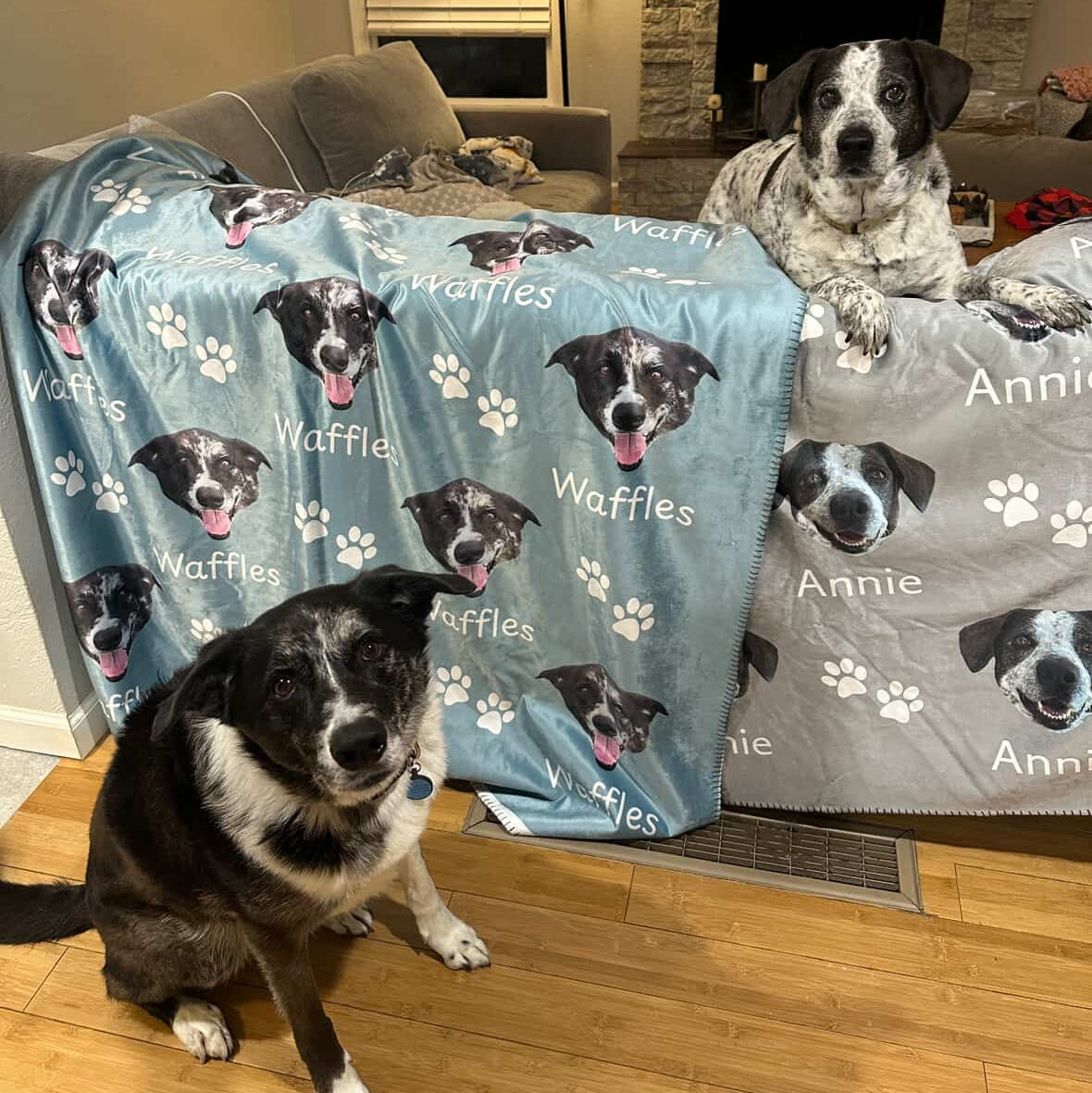 Custom Dog Blanket vs. Regular Dog Blanket: What's the Difference?
