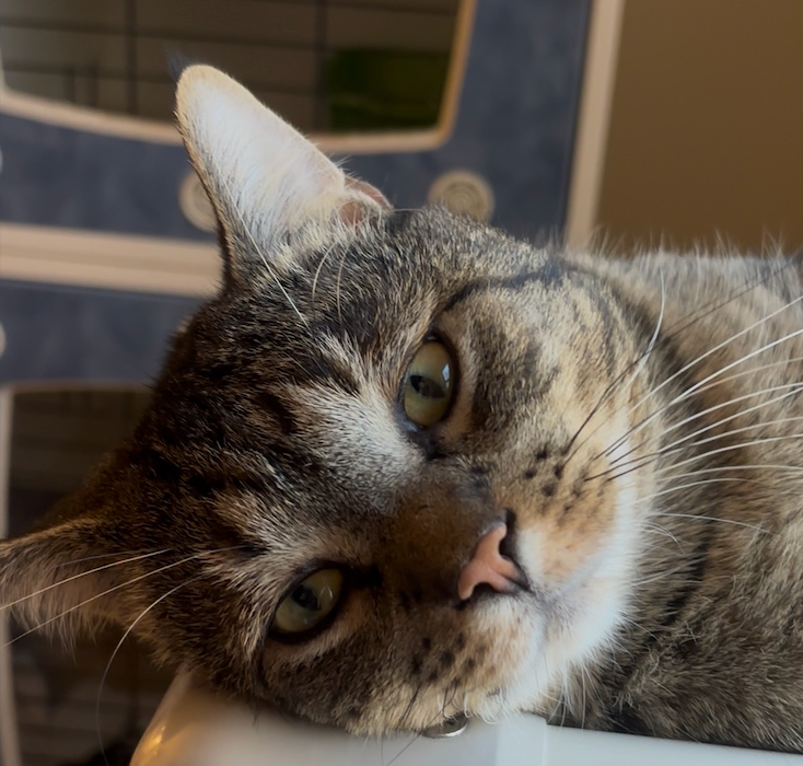 Another Blanket Donation Made Thanks to You!!