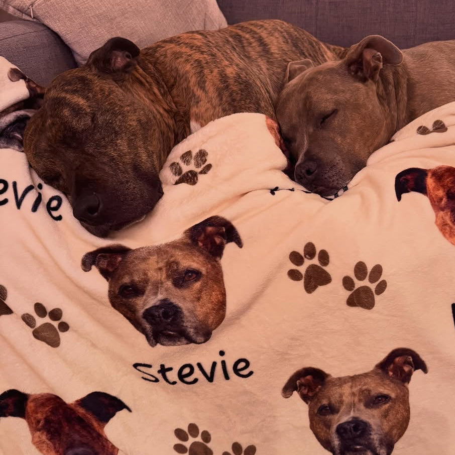 How Buying a Dogwood Pack Custom Pet Blanket Helps Animal Rescues
