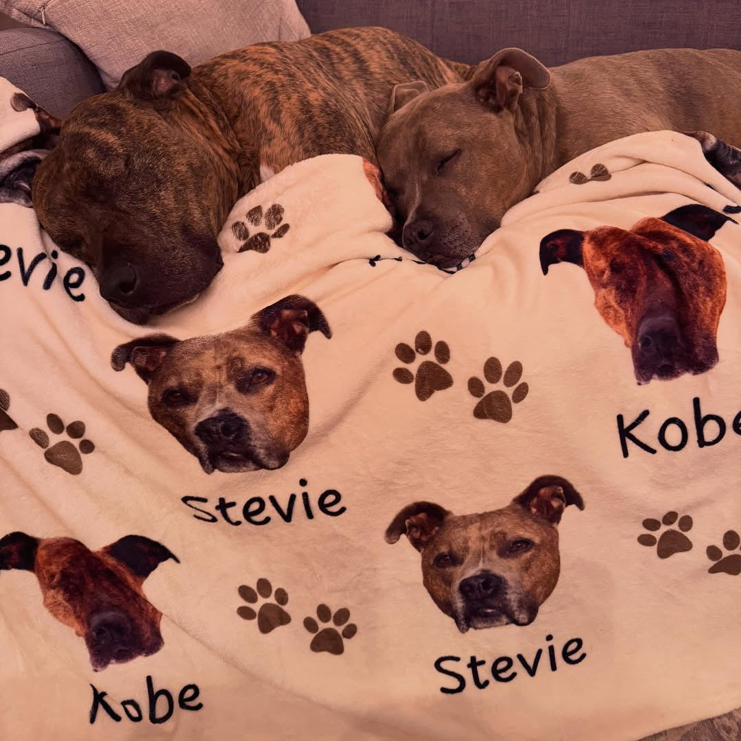 How to Choose the Right Dog Blanket Size- Dog Blanket Size Guide
