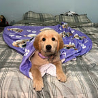 Golden Retriever puppy with custom dog blanket for girl dogs