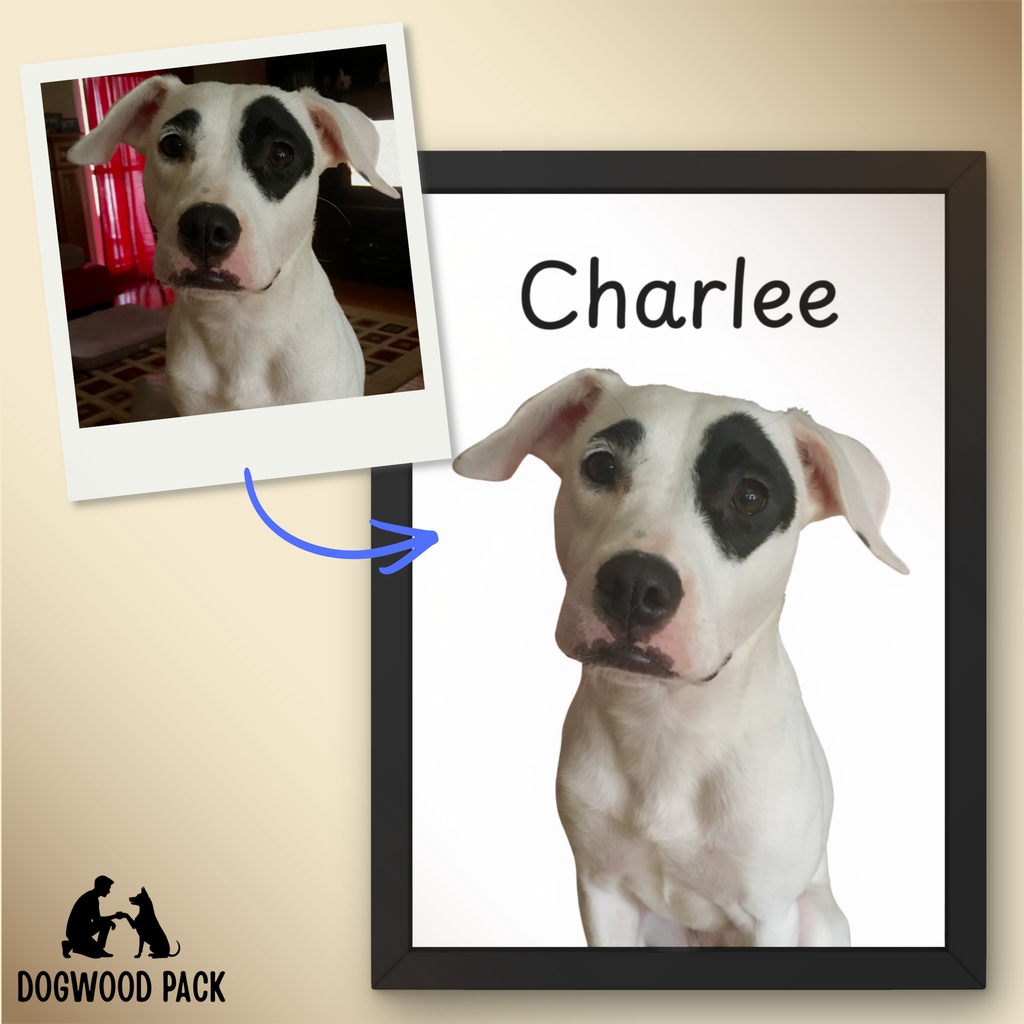 FREE Digital Custom Pet Portrait