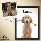 FREE Digital Custom Pet Portrait
