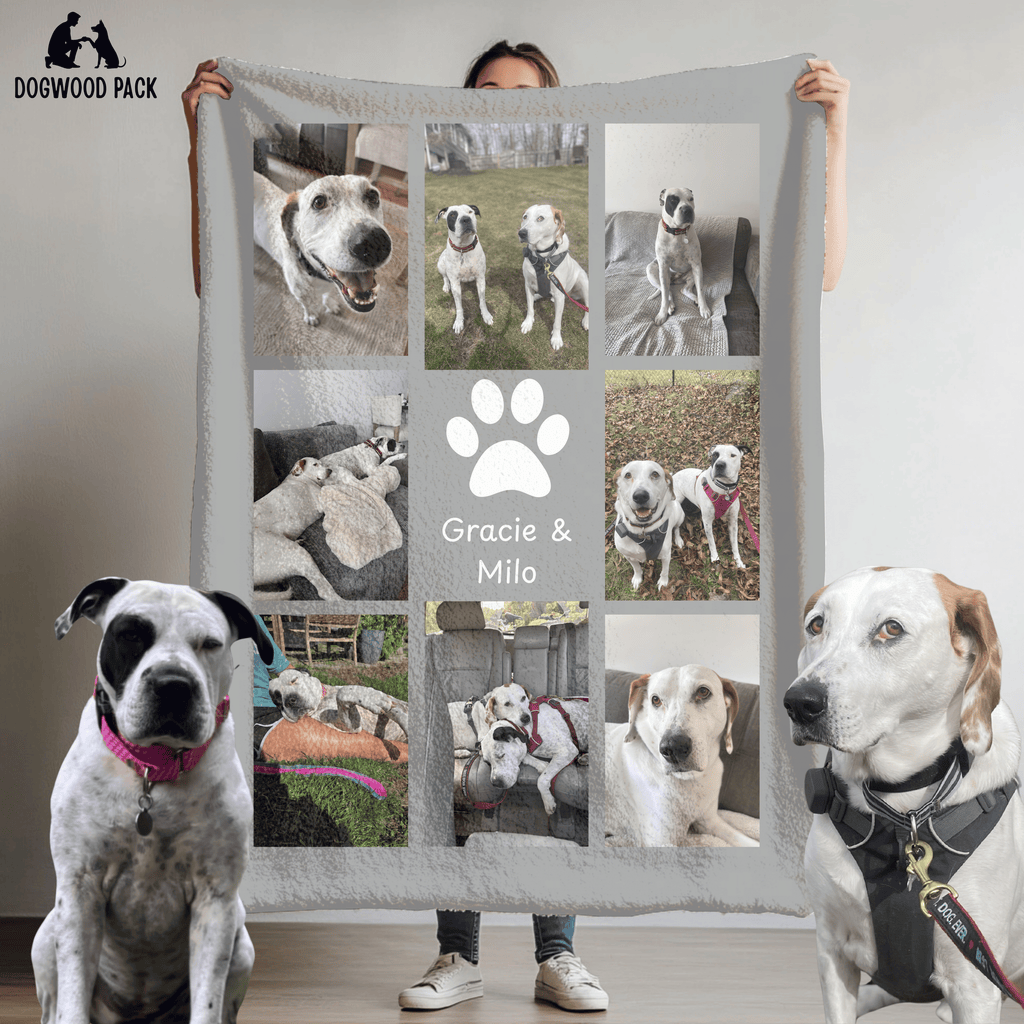 custom dog blanket with pet photo design and name with multiple pets on light grey background