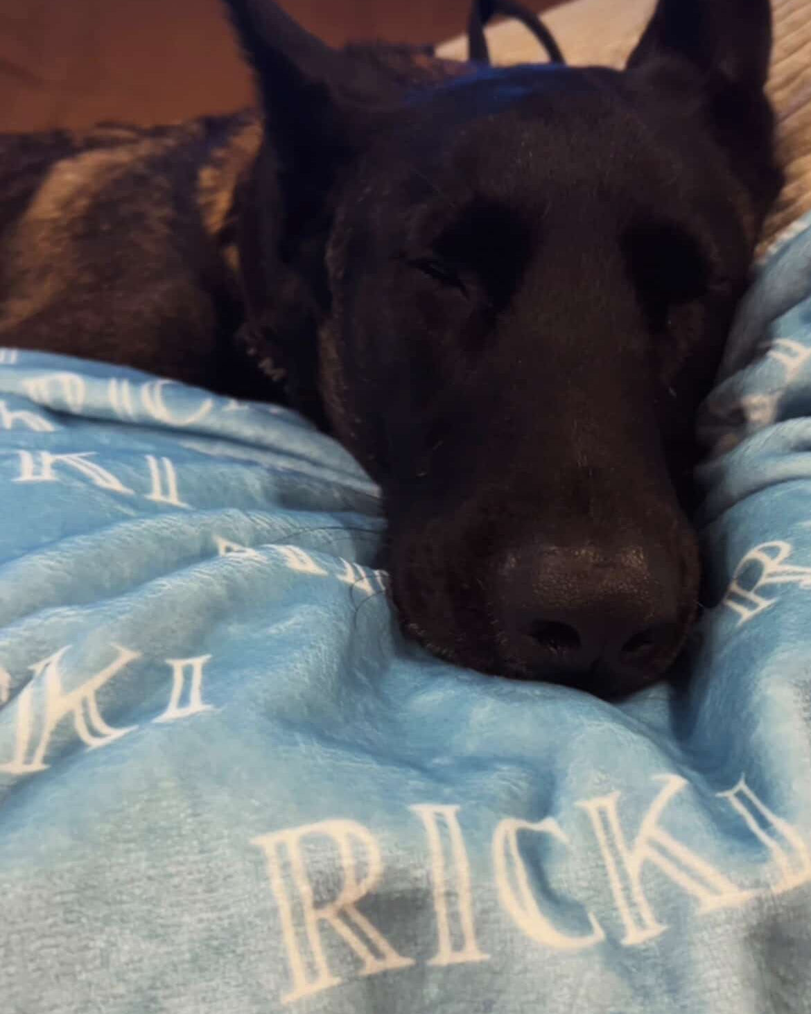 Dogwood Pack Custom Bubble Name Dog Blanket