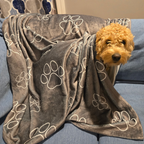 Dogwood Pack Wolf Paw Dog Blanket