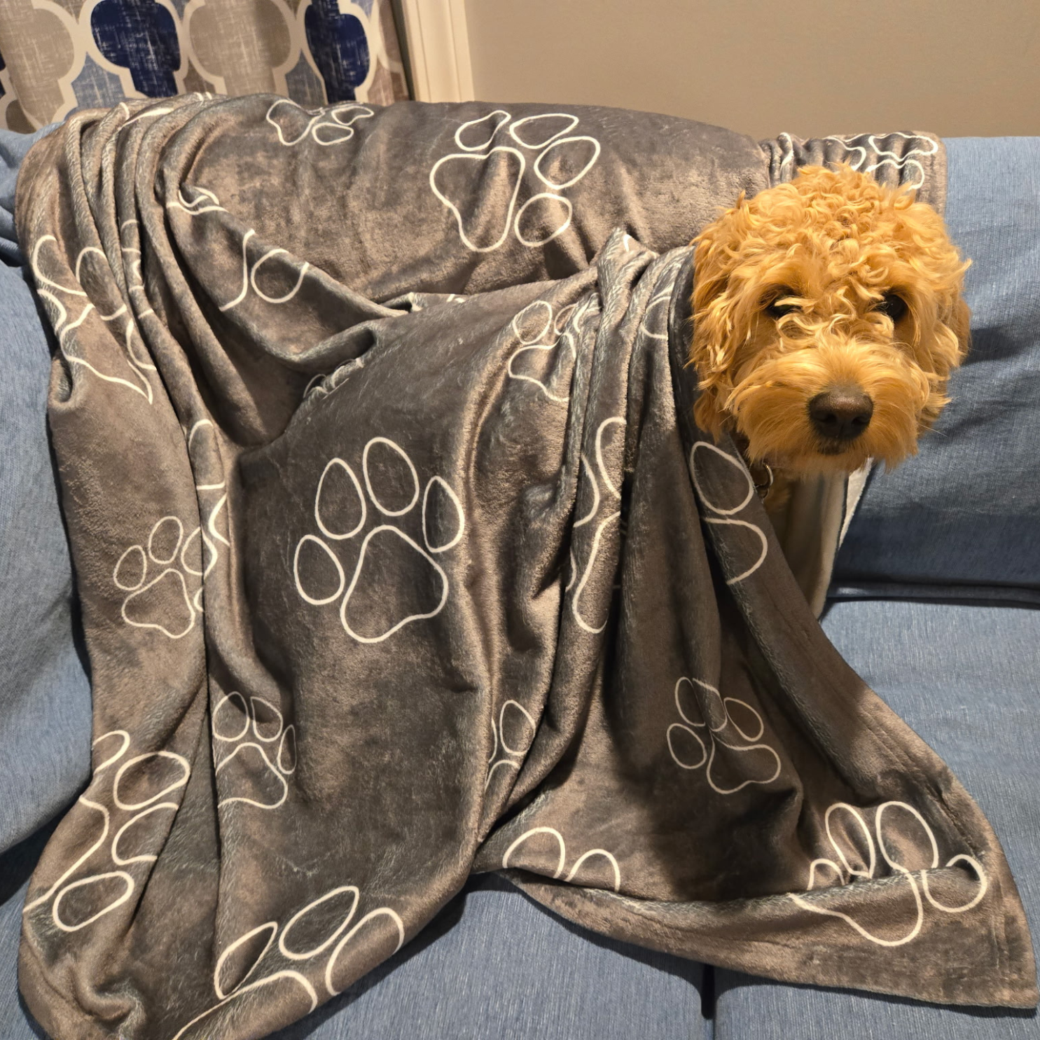 Dogwood Pack Wolf Paw Dog Blanket