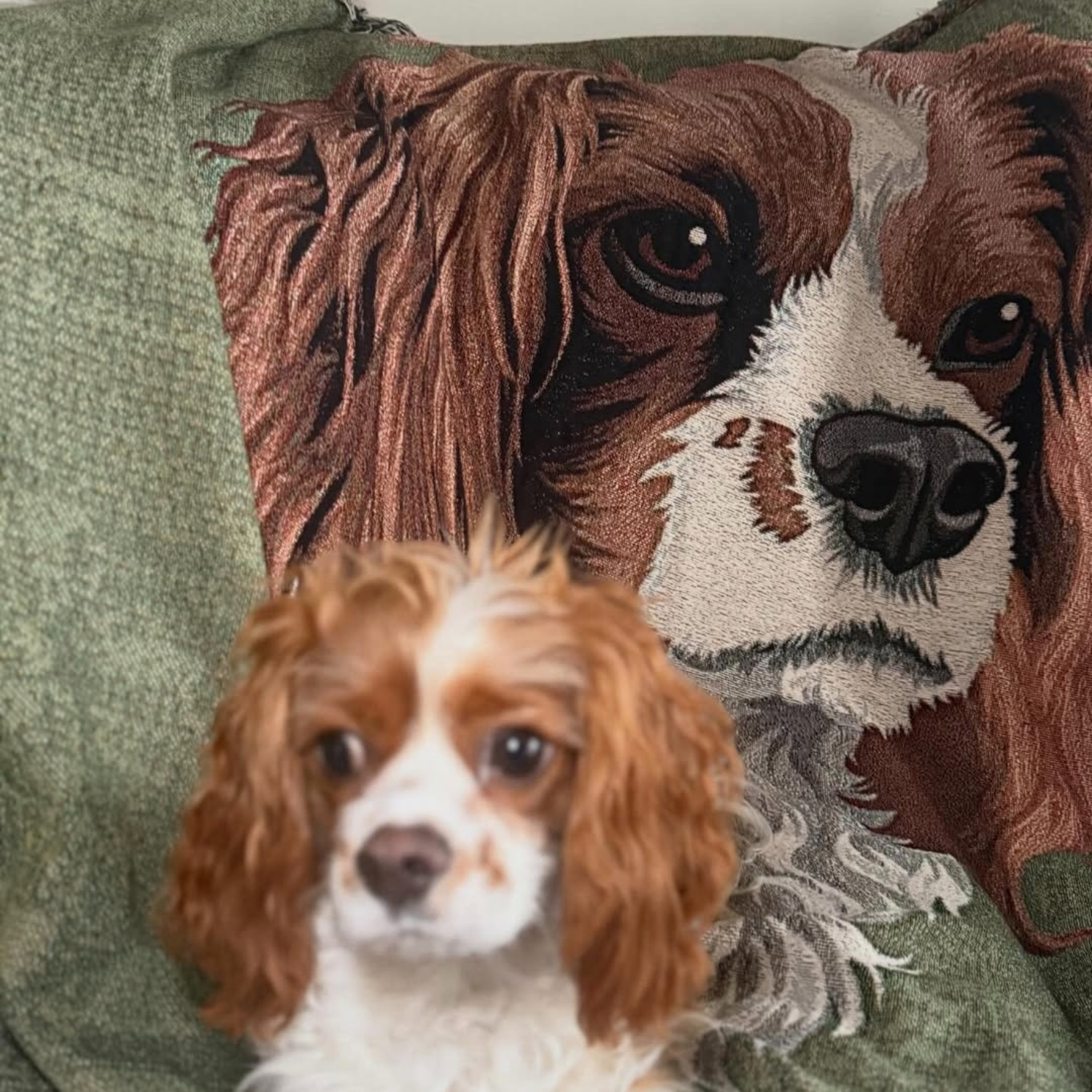 Dogwood Pack Custom Portrait Dog Blanket