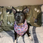 Nellie the pitbull rescue and Mazikeen the cat on a Custom Dog Blanket - Personalized Pet Blanket with Face and Name