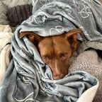 Diesel the rescue mix sleeping under cozy Wolf Paw Dog Blanket - Plush & Sherpa Pet Blanket for Dogs and Cats
