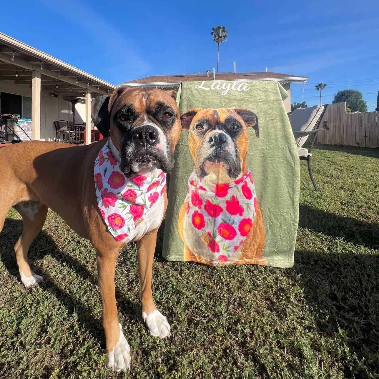Layla the Boxer and her Custom Dog Blanket - Personalized Pet Portrait Blanket with Name 
