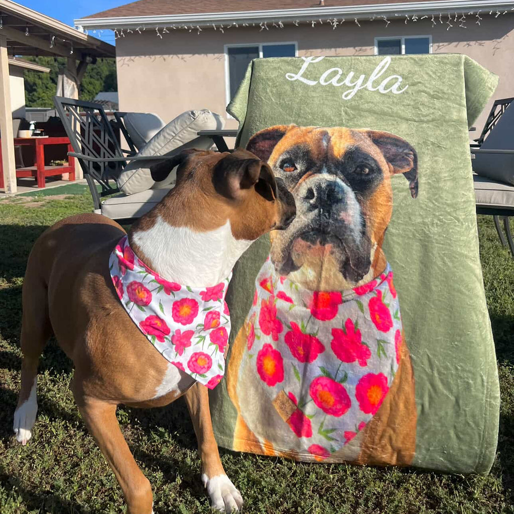 Layla the Boxer and her Green Custom Dog Blanket - Personalized Pet Portrait Blanket with Name 