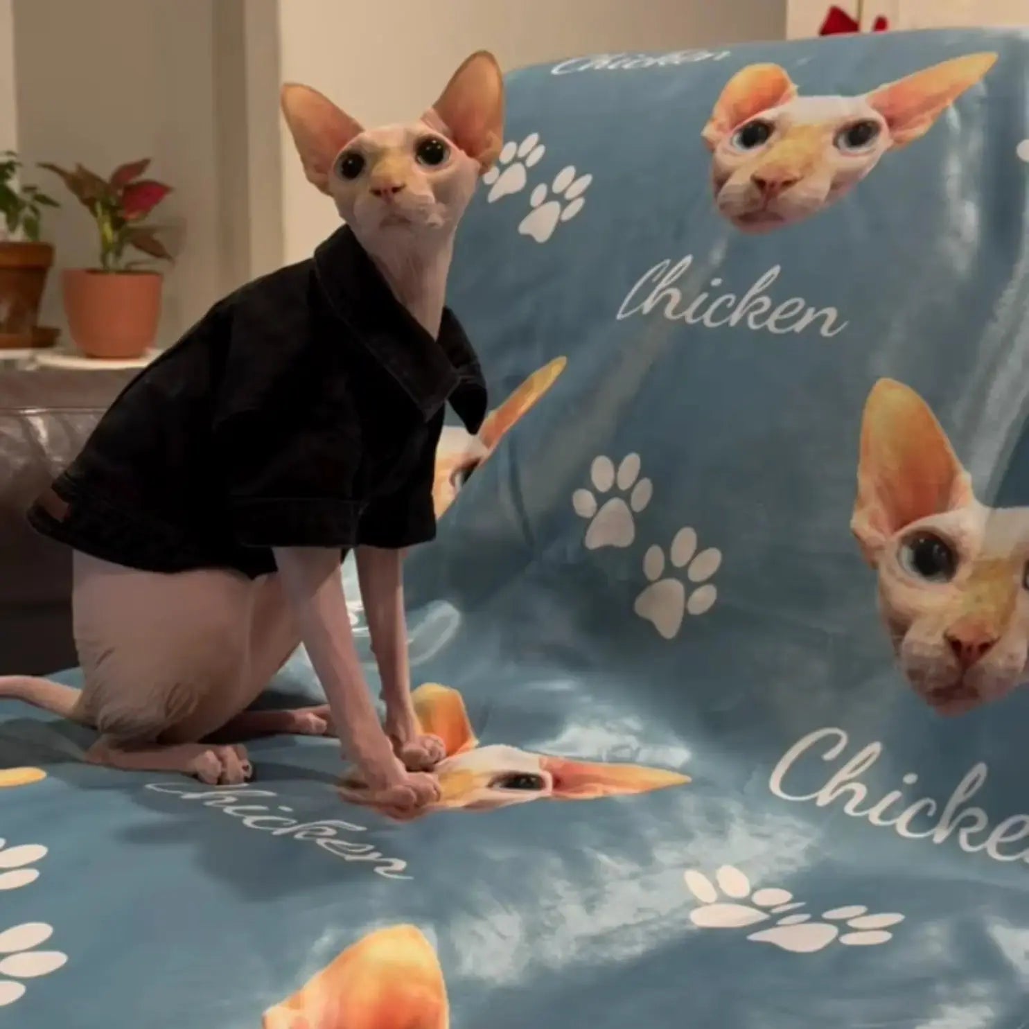 Custom Dog Blanket - Personalized Pet Blanket with Face and Name Printify