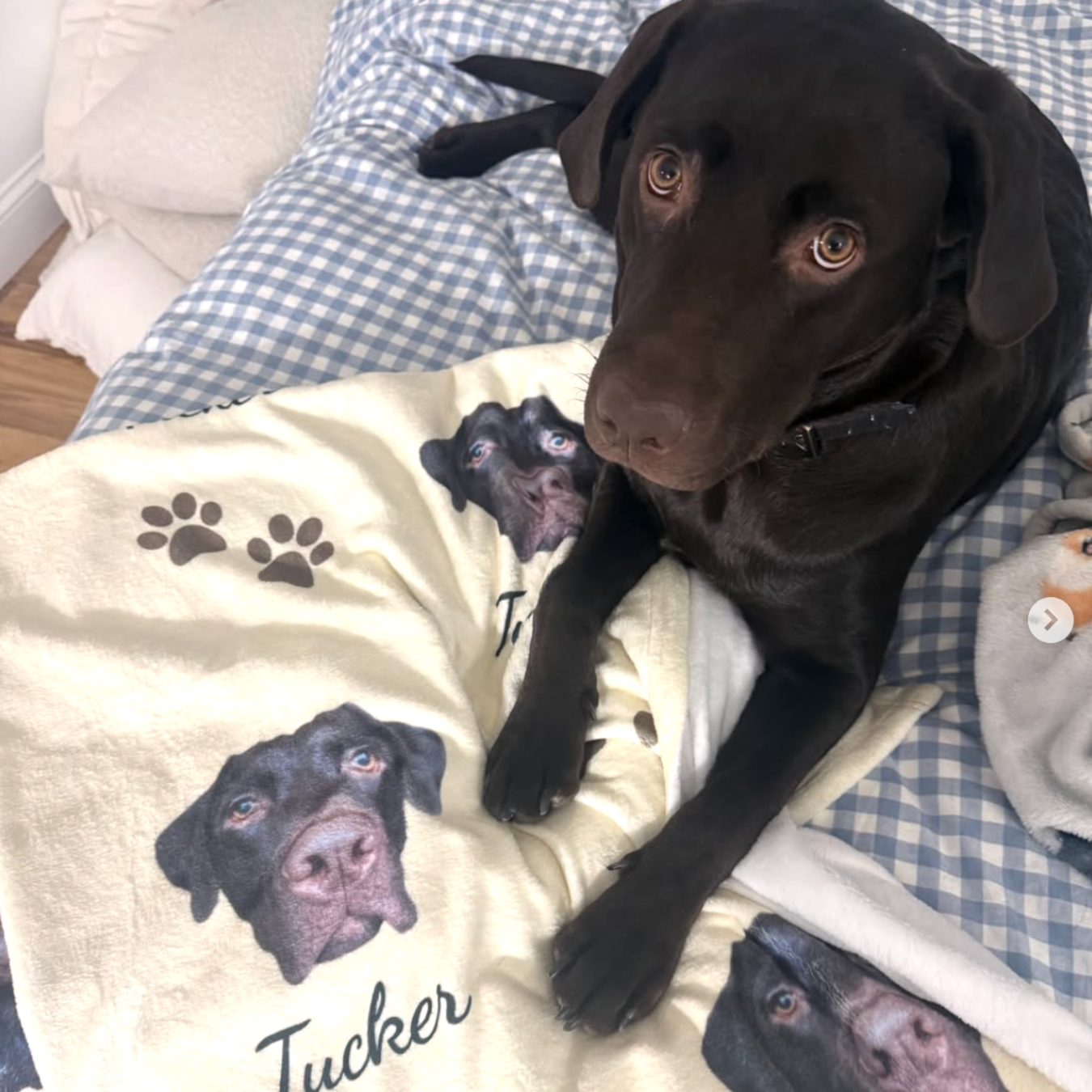 Dogwood Pack Custom Dog Blanket