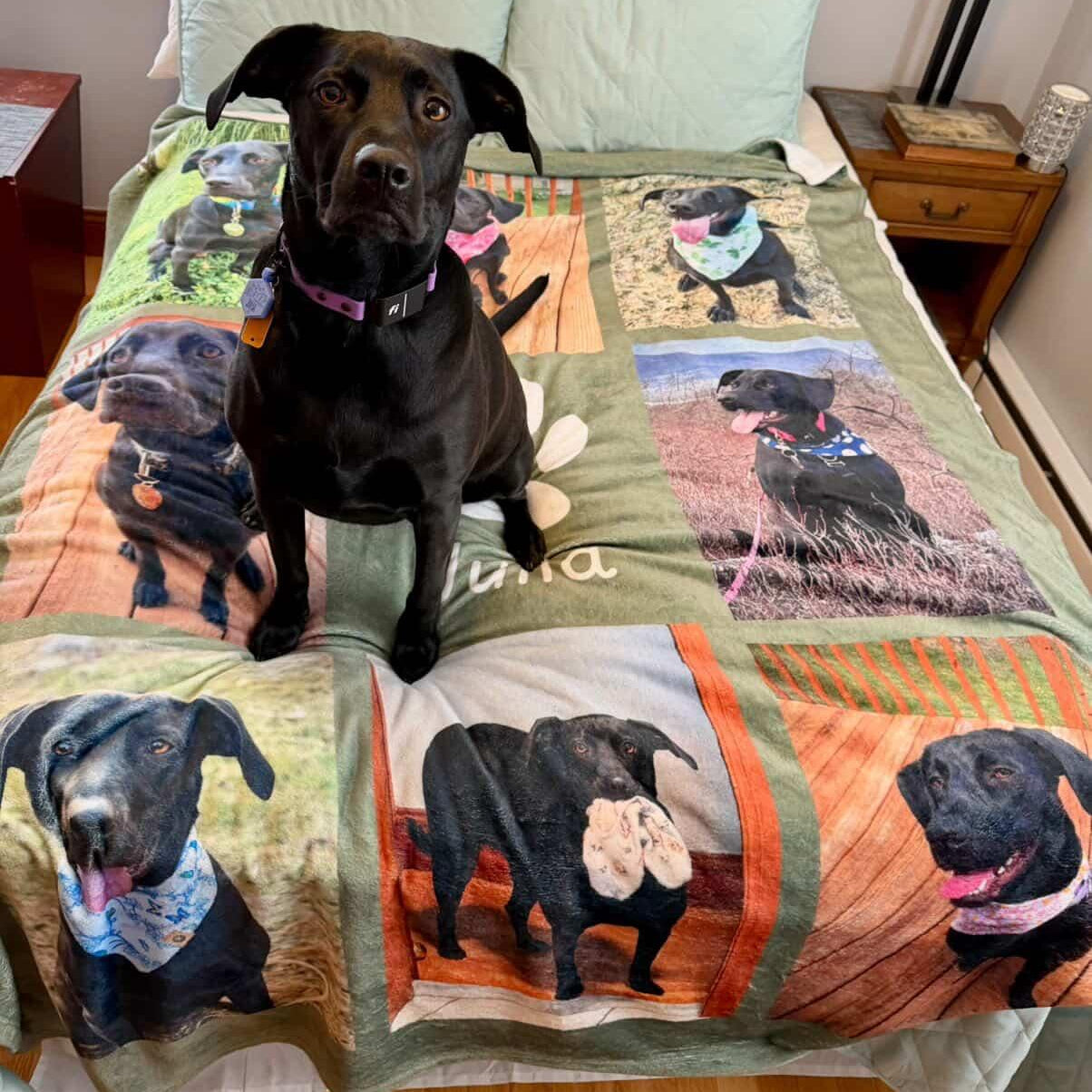 Julia the Rescue Dog sitting on a soft Custom Dog Blanket - Personalized Pet Photo Blanket with Name