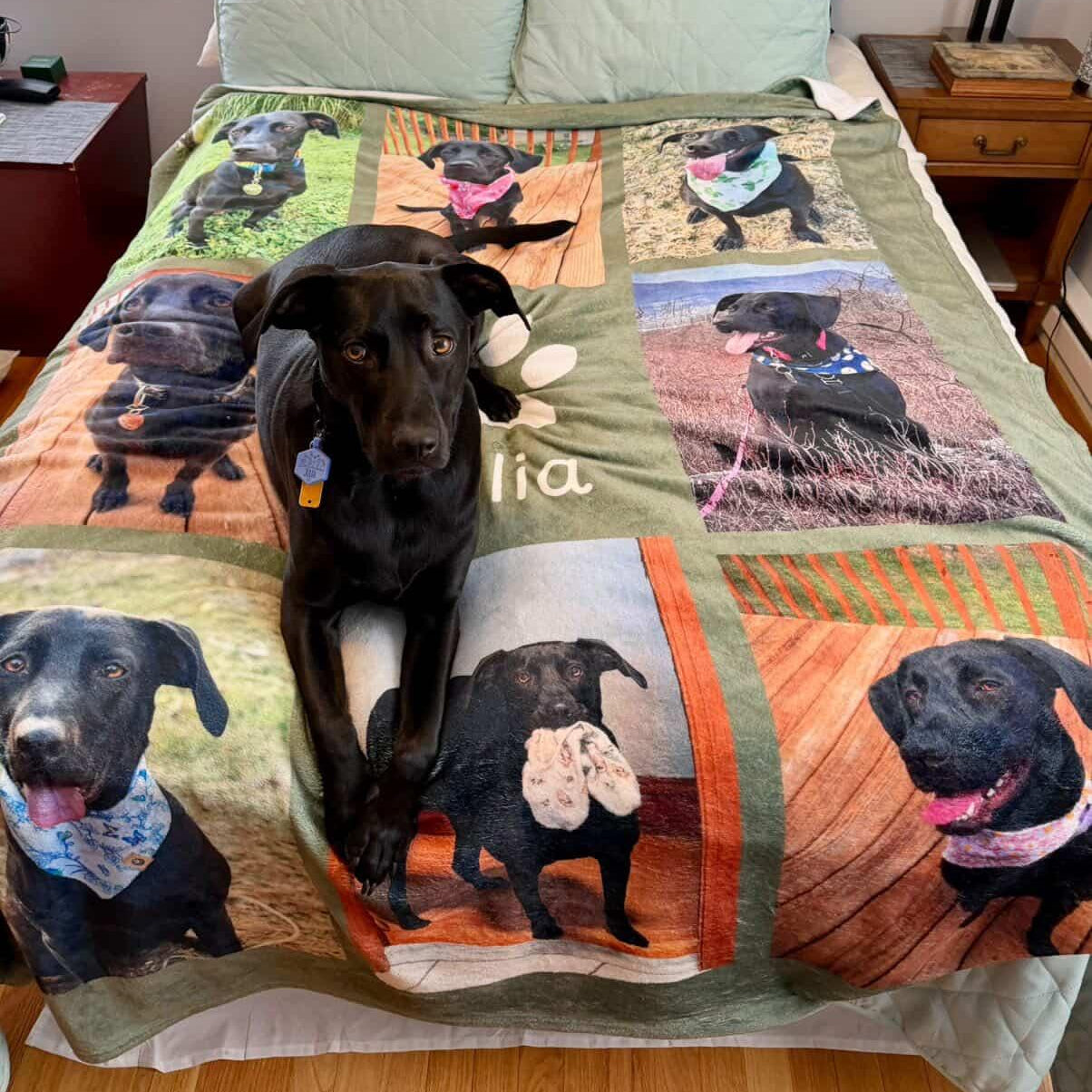 Julia the Rescue Dog sitting on a soft Custom Dog Blanket - Personalized Pet Photo Blanket with Name
