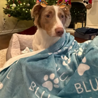 Dogwood Pack Custom Name Dog Blanket