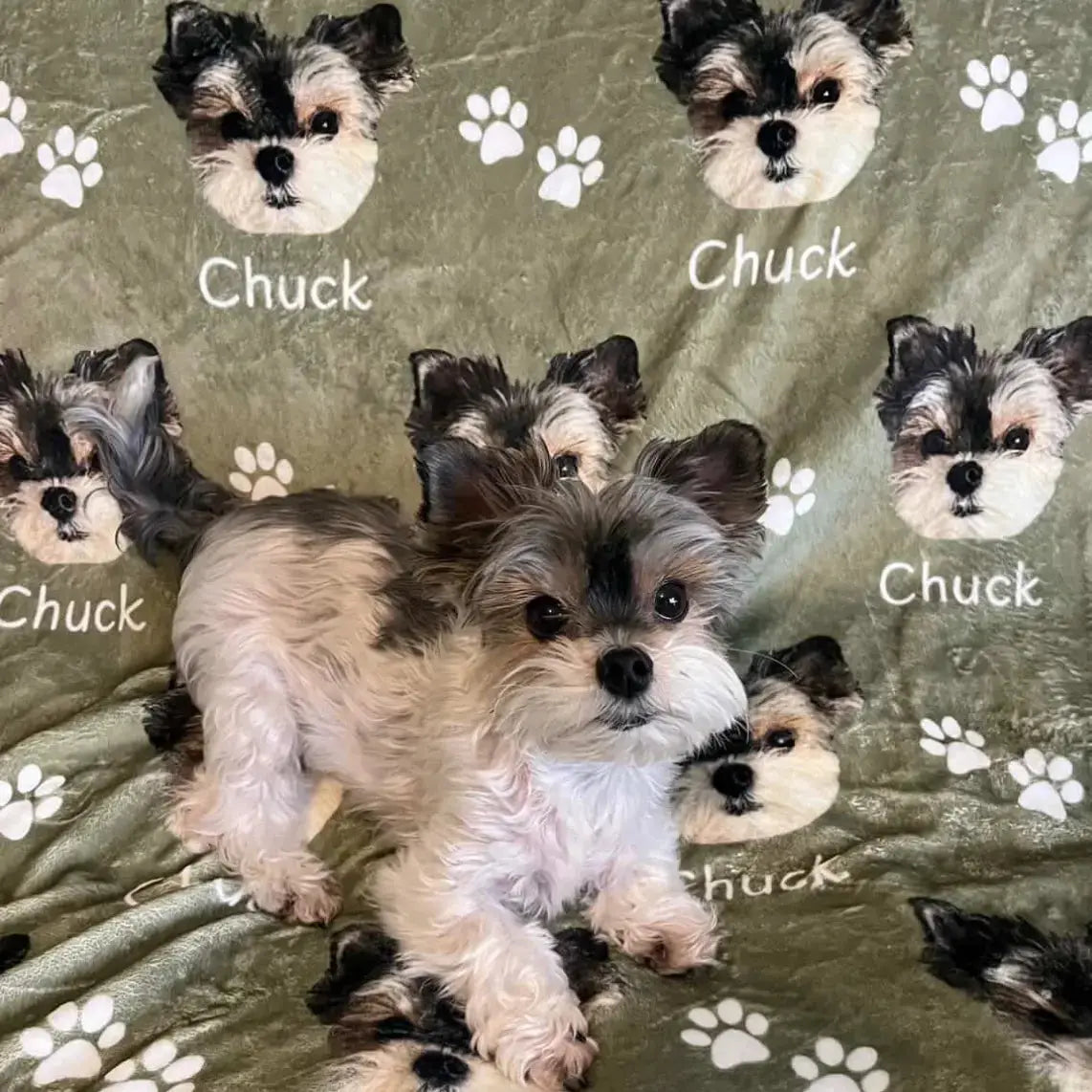 Custom Dog Blanket - Personalized Pet Blanket with Face and Name Printify