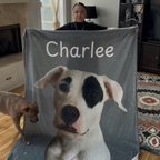 Rescue pitbull memorial Custom Dog Blanket - Personalized Pet Portrait Blanket with Name