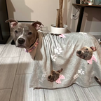 Pitbull under plush Custom Dog Blanket - Personalized Pet Blanket with Face and Name