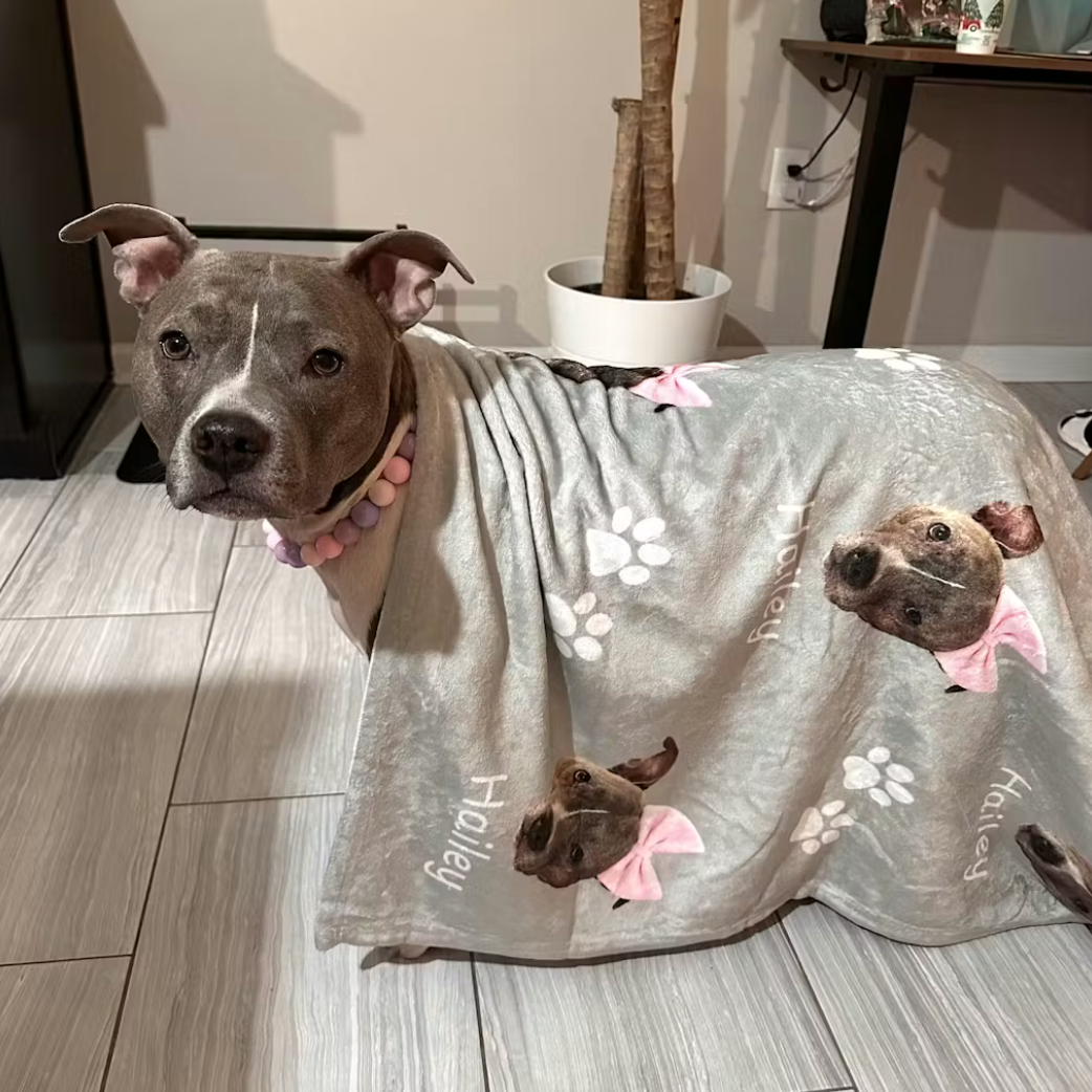 Pitbull under plush Custom Dog Blanket - Personalized Pet Blanket with Face and Name