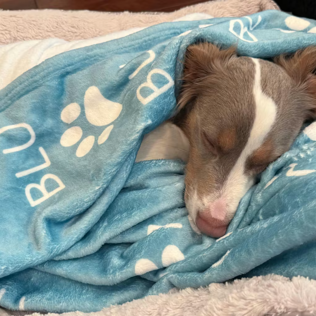Dog Cozy laying on Custom Dog Blanket - Personalized Pet Blanket with Name and Paw Print Design