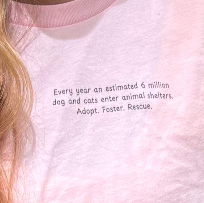 Girl wearing comfortable Adopt Don't Shop Shirt – Adopt Foster Rescue Awareness Tee with message about animal shelters