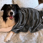 Border Collie Laying under cozy Custom Dog Blanket - Personalized Bubble Name Pet Blanket