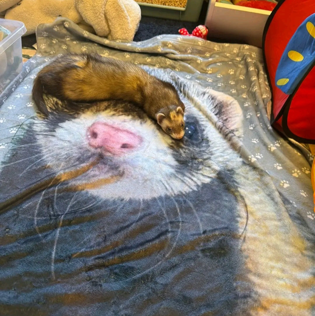 Cute Ferret Laying on Cozy Custom Dog Blanket - Personalized Pet Portrait Blanket With Paw Design