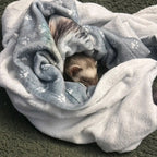 Cute Ferret Laying on Cozy Custom Dog Blanket - Personalized Pet Portrait Blanket With Paw Design