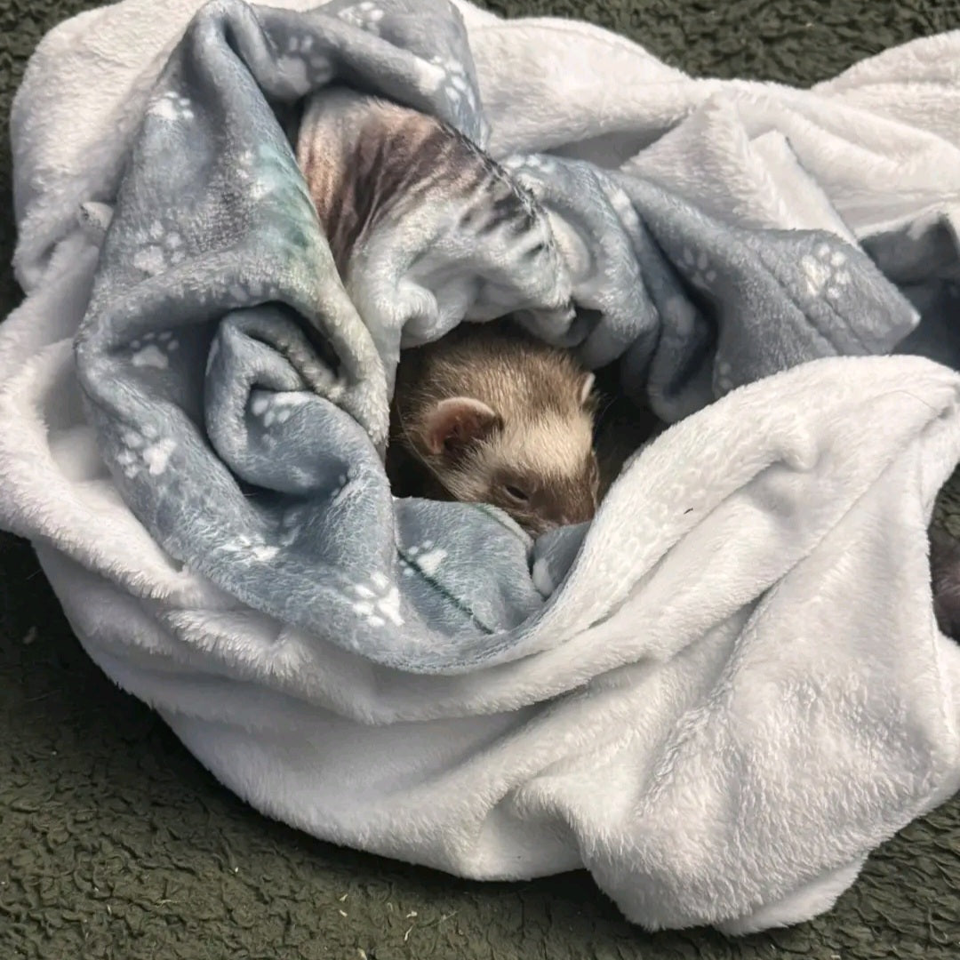 Cute Ferret Laying on Cozy Custom Dog Blanket - Personalized Pet Portrait Blanket With Paw Design