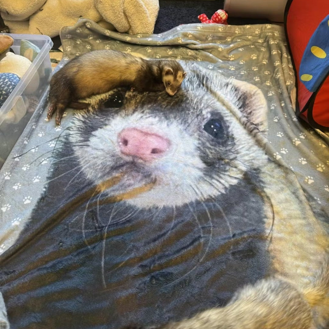 Cute Ferret Laying on Cozy Custom Dog Blanket - Personalized Pet Portrait Blanket With Paw Design