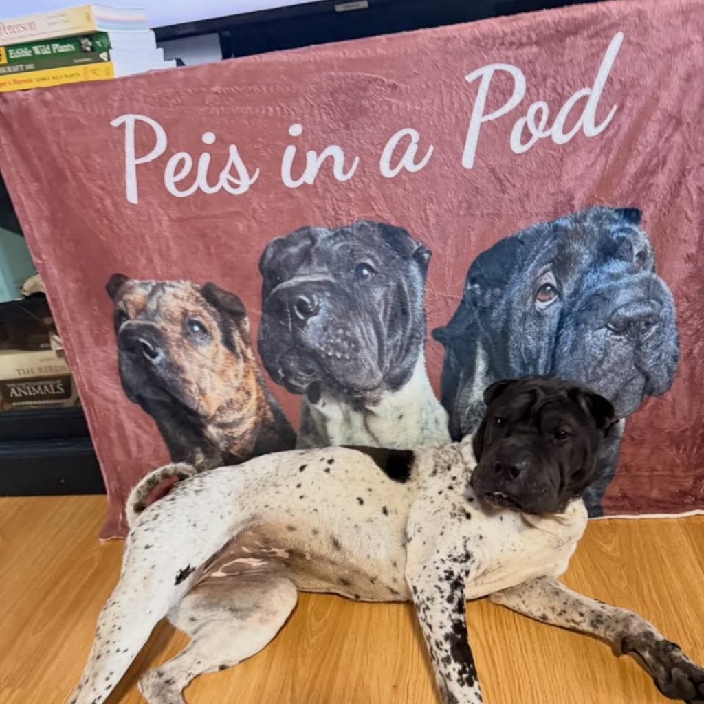 Sharpei laying with plush Custom Dog Blanket - Personalized Pet Portrait Blanket with Name multiple pets